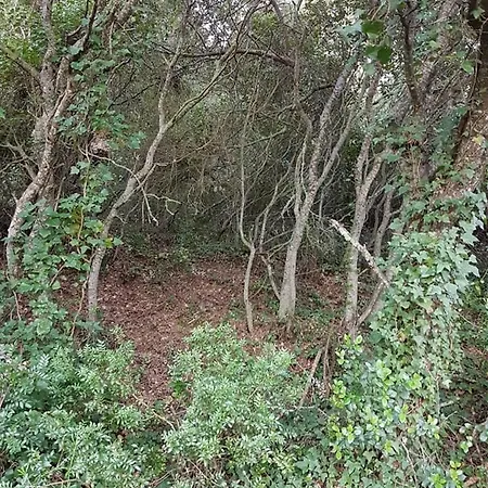 Casa Do Canto - Uma Casa No Campo, Perto Da Praia. Prázdninový dům *