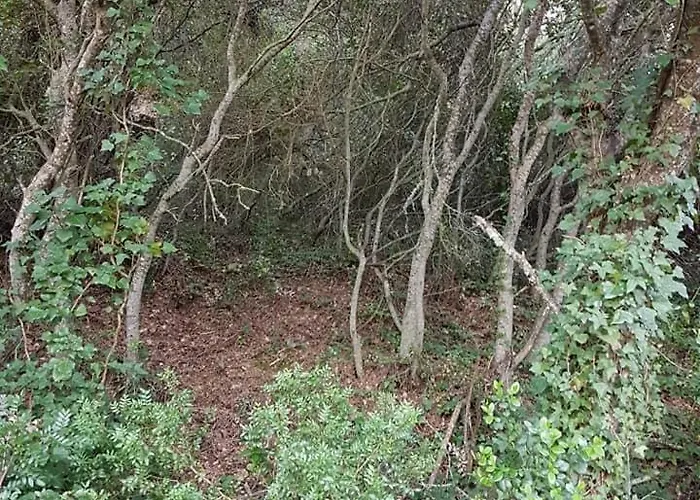 Casa Do Canto - Uma Casa No Campo, Perto Da Praia. 펜션 *